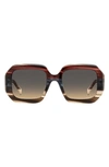 Missoni 50mm Square Sunglasses In Brown Red/ Brown Ochre