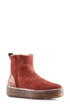 Cougar Broom Waterproof Genuine Shearling Bootie In Russet