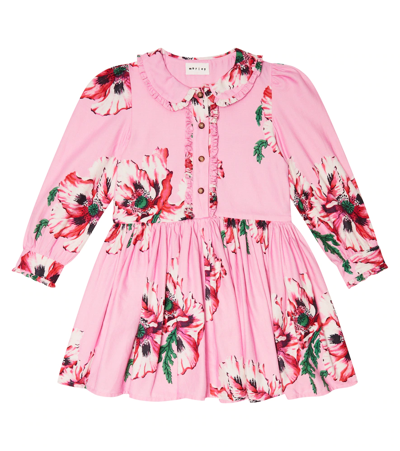 Morley Kids' Rio Floral Cotton Dress In Pink
