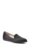 Cliffs By White Mountain Mint Pointed Toe Loafer In Black/ Suedette