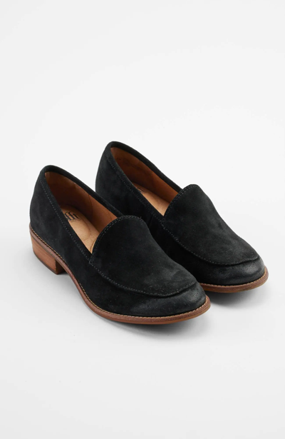 Jjill J.jill Sofft® Napoli Loafer In Black