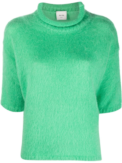 Alysi Textured Roll-neck Knit Top In Green