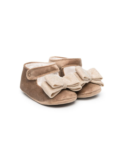Colorichiari Babies' Velvet Bow-detail Ballerina Shoes In Brown