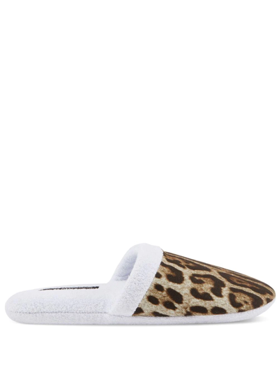 Dolce & Gabbana Leopard-print Terry Slippers In Multicolor