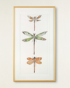 John-richard Collection Joyful Dragonflies Ii Giclee Wall Art By Joy Colangelo