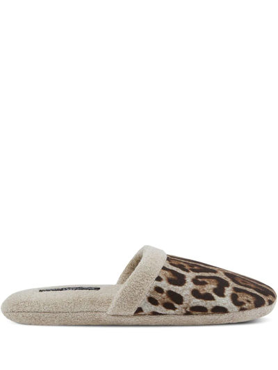 Dolce & Gabbana Leopard-print Terry Slippers In Nude