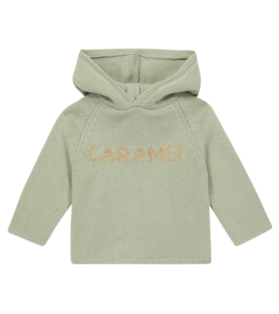 Caramel Baby Dogwood Wool-blend Hoodie In Sage