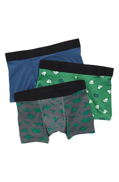 Nordstrom Rack Kids' Boxer Brief In Dino Fossils Pack