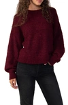 Sanctuary Plush Crewneck Sweater In Dchr
