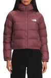 The North Face Hydrenalite Hooded Down Jacket In Wild Ginger