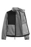 The North Face Denali Polartec Fleece Jacket In Multi