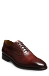 Allen Edmonds Siena Brogue Oxford In Burgundy