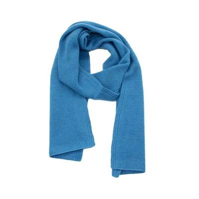 Portolano Cashmere Scarf In Blue