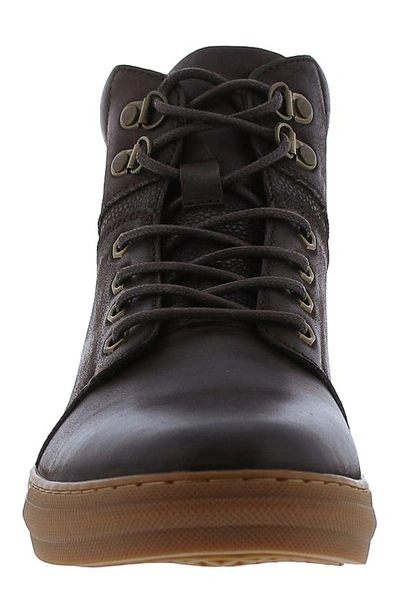 English Laundry Jori Chukka Sneaker In Brown