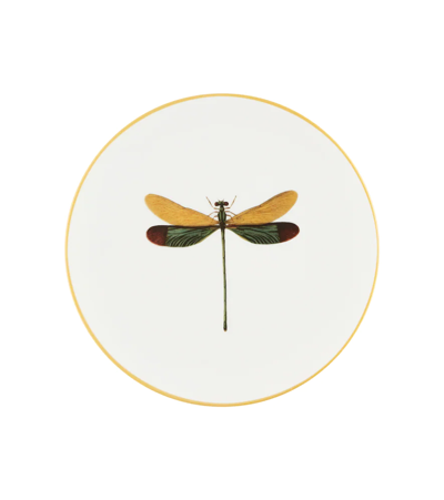 Les-ottomans Insetti Dragonfly Plate