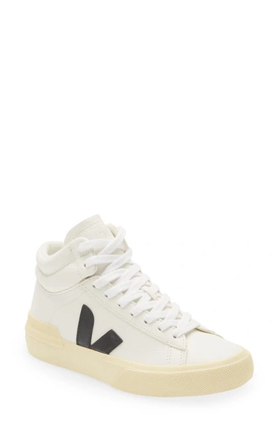 Veja Minotaur Chromefree Suede Sneaker In Black
