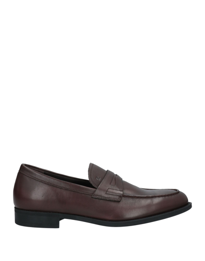 Fratelli Rossetti Loafers In Brown