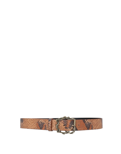 Sandro Belts In Brown