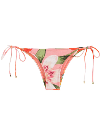 Lenny Niemeyer Floral-print Bikini Bottoms In Pink
