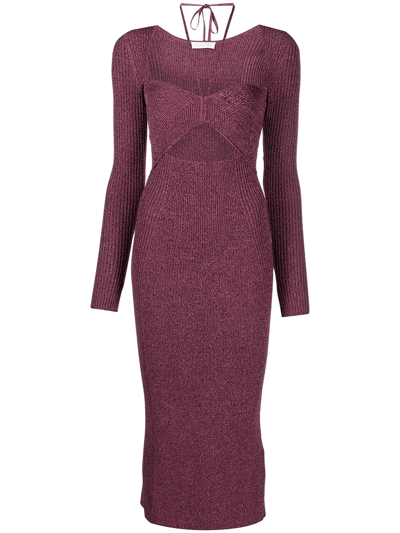 Jonathan Simkhai Cut-out Detail Knitted Dress In Purple