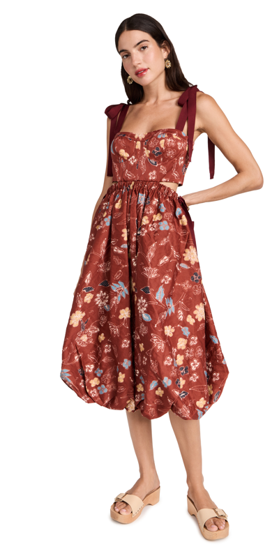 Ulla Johnson Gabrielle Cutout Tie-detailed Floral-print Matte-satin Dress In Anemone