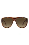 Carrera Eyewear 62mm Oversize Round Sunglasses In Havana / Brown Gradient