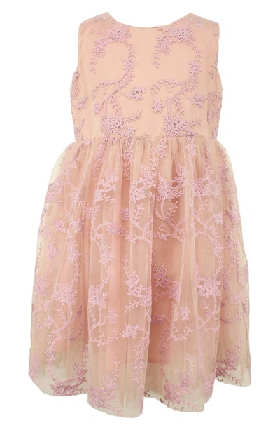 Popatu Kids' Embroidered Overlay Tulle Dress In Blush