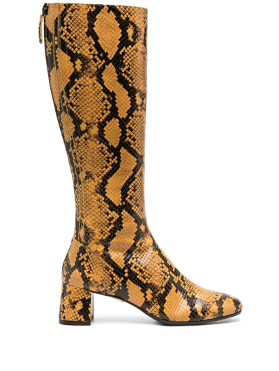 Aquazzura Saint Honore' Lined 50mm Boots In Yellow & Orange