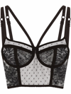 Dolce & Gabbana Plumetis Tulle Longline Bra In Black