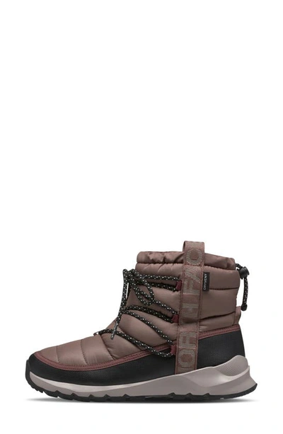 The North Face Thermoball™ Waterproof Utility Boot In Deep Taupe/ Tnf Black