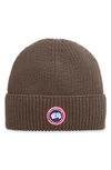 Canada Goose Arctic Disc Ribbed Toque Beanie In Sephia