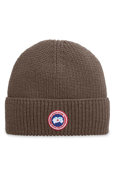 Canada Goose Arctic Disc Ribbed Toque Beanie In Sephia