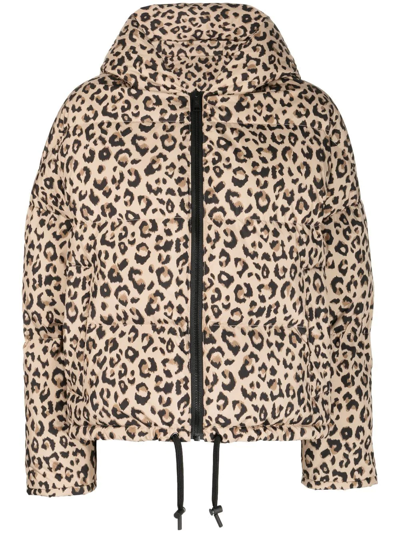 Yves Salomon Leopard-print Padded Coat In Brown