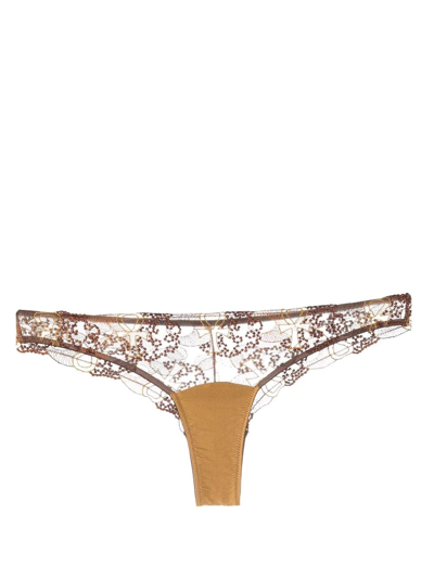 Ihuoma Divine Feminine Embroidery Briefs In Brown