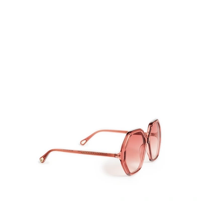 Chloé Cc0004s Shiny Transparent Warm Peach Sunglasses In Orange