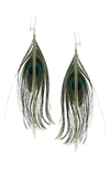 Olivia Welles Peacock Feather Dangle Earrings In Gold / Multi