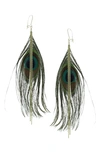 OLIVIA WELLES PEACOCK FEATHER DANGLE EARRINGS