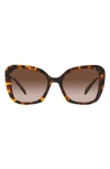 Prada 53mm Butterfly Sunglasses In Brown Grad
