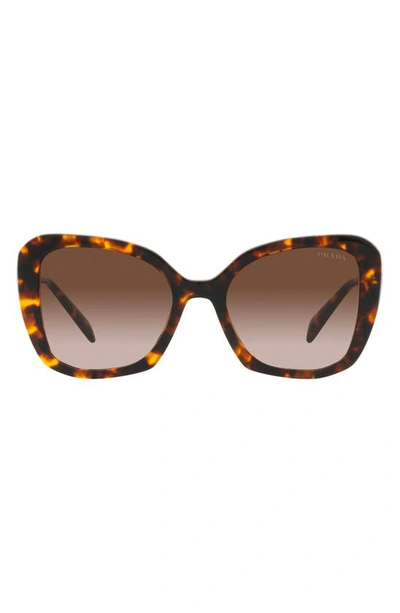 Prada 53mm Butterfly Sunglasses In Brown Grad