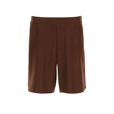 Valentino Cotton Shorts In Brown