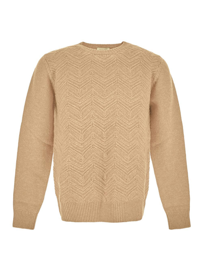 Aion Crewneck Knit Jumper In Yellow