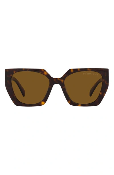Prada 54mm Polarized Irregular Sunglasses In Tortoise_dark_brown_polar