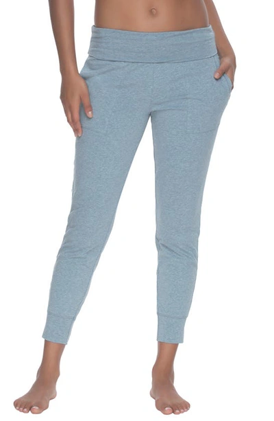 Felina Oversize Stretch Organic Cotton Joggers In Sky