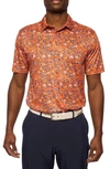 Robert Graham Tropical Dream Knit Polo Shirt In Nocolor