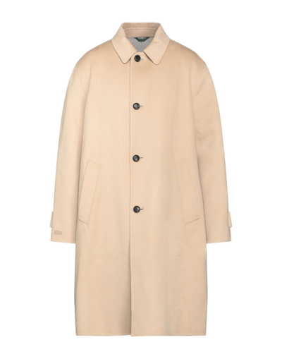 Lacoste Coats In Beige