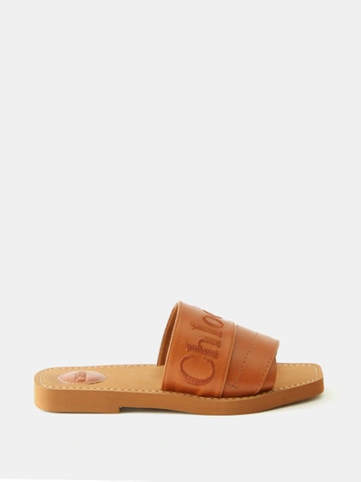 Chloé Woody Embroidered Logo Flat Sandals In Brown