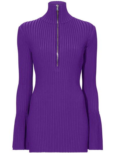 Proenza Schouler Zipped Rib-knit Jumper In Purple