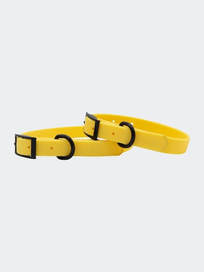 Sassy Woof Waterproof Collar In Yellow