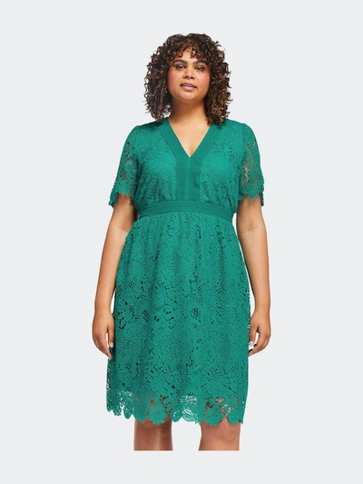Estelle Shire Lace Dress In Green