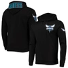 PRO STANDARD PRO STANDARD BLACK CHARLOTTE HORNETS LOGO PULLOVER HOODIE